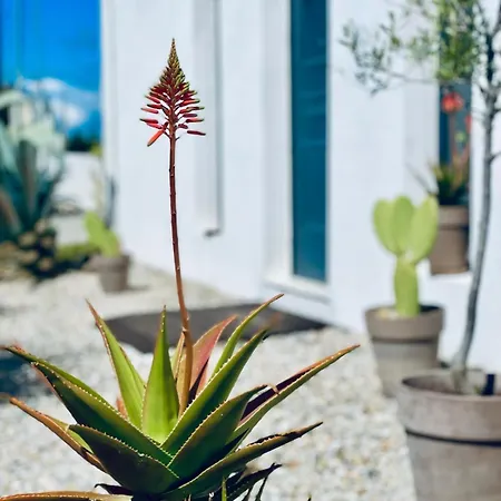 Daire Soulbreeze Kos, Haus 1 *