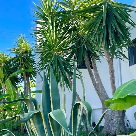 Soulbreeze Kos, Haus 1 Platáni