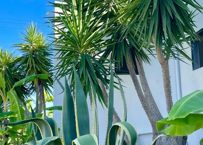 Soulbreeze Kos, Haus 1 Platánion