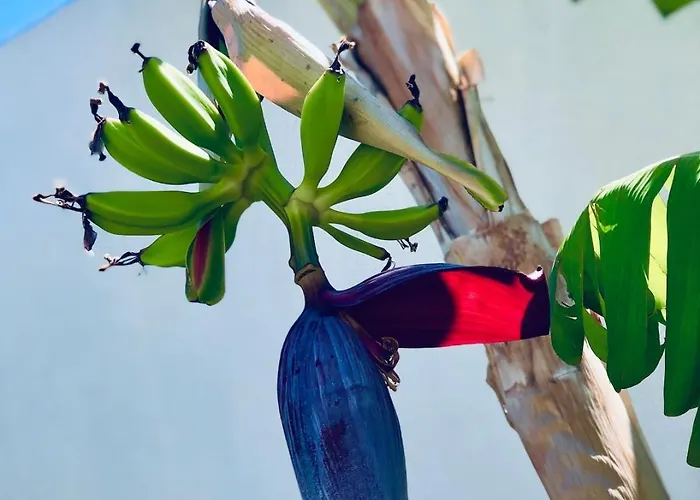 Soulbreeze Kos, Haus 1